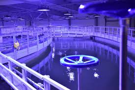 Bedriftsbesøk Fredrikstad SeaFood 24.03.26